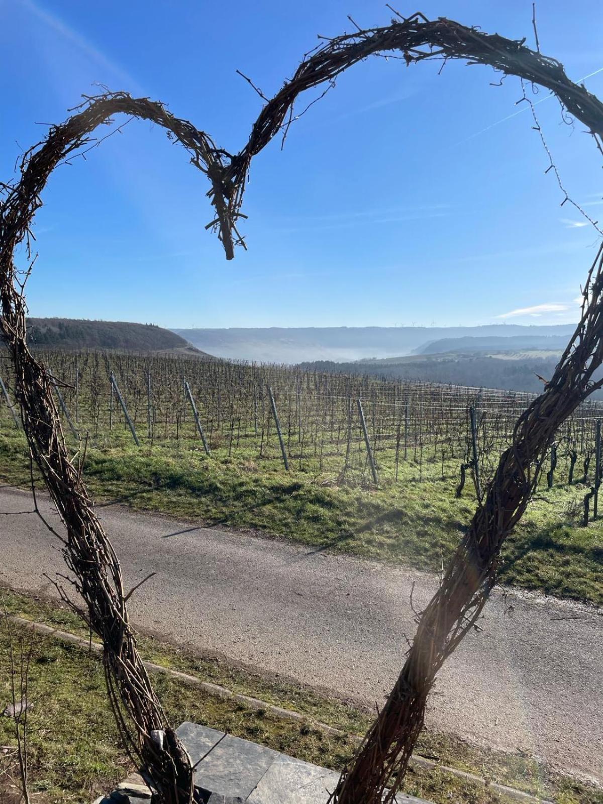 Fewo Waldblick - Urlaub Im Wein & Ferienort Bekond Buitenkant foto
